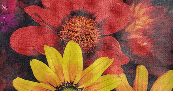 Canvas  Prints